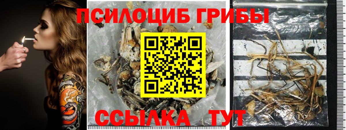 Галлюциногенные грибы Cubensis  Галлюциногенные грибы Psilocybe  Вход с VPN  Железноводск 